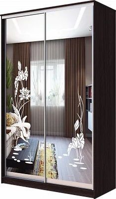 Шкаф-купе ХИТ 23-12-66 ЦАПЛИ в Сургуте - surgut.mebel24.online | фото