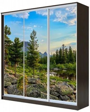 Шкаф-купе ХИТ 23-4-18-777 ПРИРОДА в Сургуте - surgut.mebel24.online | фото