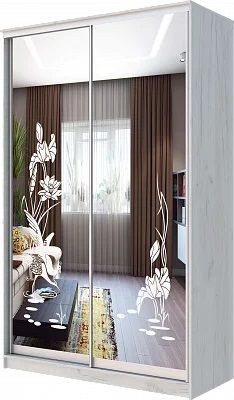 Шкаф-купе ХИТ 24-14-66 ЦАПЛИ в Сургуте - surgut.mebel24.online | фото