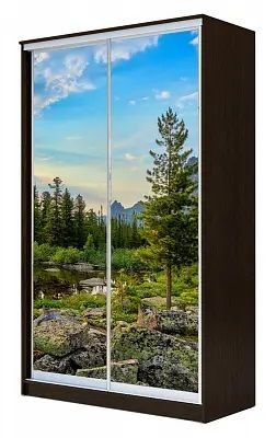 Шкаф-купе ХИТ 24-15-77 ПРИРОДА в Сургуте - surgut.mebel24.online | фото