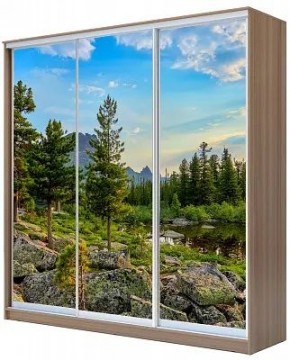 Шкаф-купе ХИТ 24-20/2-777 ПРИРОДА в Сургуте - surgut.mebel24.online | фото