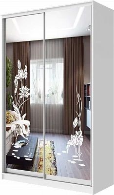 Шкаф-купе ХИТ 24-4-12-66 ЦАПЛИ в Сургуте - surgut.mebel24.online | фото