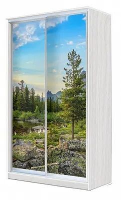 Шкаф-купе ХИТ 24-4-15-77 ПРИРОДА в Сургуте - surgut.mebel24.online | фото