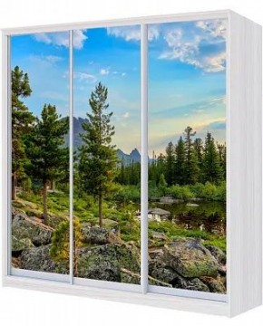 Шкаф-купе ХИТ 24-4-18/2-777 ПРИРОДА в Сургуте - surgut.mebel24.online | фото