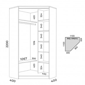 Шкаф-купе ХИТ-У-22-4-55 в Сургуте - surgut.mebel24.online | фото 2
