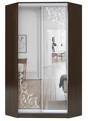 Шкаф-купе ХИТ-У-R-22-64-66 ОРНАМЕНТ в Сургуте - surgut.mebel24.online | фото