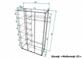 Шкаф платяной Мебелеф-22 в Сургуте - surgut.mebel24.online | фото 7