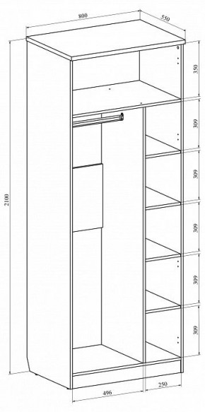 Шкаф платяной Виктория ВИ-11 в Сургуте - surgut.mebel24.online | фото 3