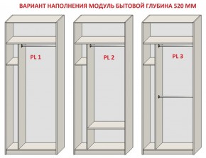 Шкаф распашной серия «ЗЕВС» (PL3/С1/PL2) Серый камень/Небраска натуральный в Сургуте - surgut.mebel24.online | фото 5