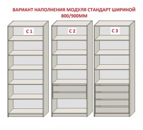 Шкаф распашной серия «ЗЕВС» (PL3/С1/PL2) Серый камень/Небраска натуральный в Сургуте - surgut.mebel24.online | фото 6