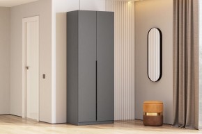 Шкаф ШК-5 + 2 полки (800) Графит серый в Сургуте - surgut.mebel24.online | фото 2