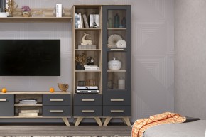Шкаф-витрина 450 Вега Скандинавия в Сургуте - surgut.mebel24.online | фото 3