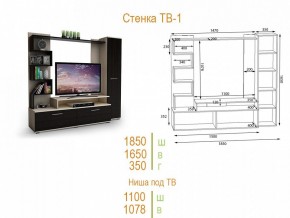 Стенка для гостиной ТВ-1 в Сургуте - surgut.mebel24.online | фото 2