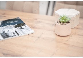 Стол обеденный Тринити Лофт 120 в Сургуте - surgut.mebel24.online | фото 6