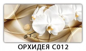 Стол раздвижной Трилогия с фотопечатью Лайм R156 в Сургуте - surgut.mebel24.online | фото 13