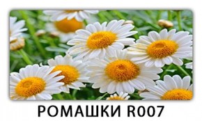 Стол раздвижной Трилогия с фотопечатью Лайм R156 в Сургуте - surgut.mebel24.online | фото 15