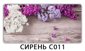 Стол раздвижной Трилогия с фотопечатью Лайм R156 в Сургуте - surgut.mebel24.online | фото 16
