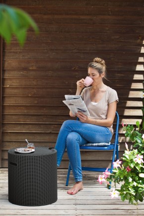 Столик-холодильник Кул-Стул (Cool stool) коричневый в Сургуте - surgut.mebel24.online | фото 2