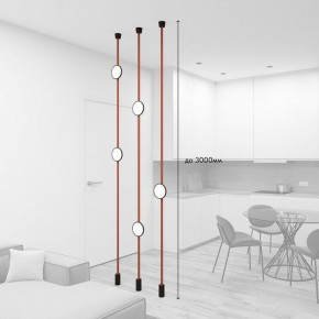 Светильник на растяжке Denkirs Belty SET DK55SET19-01-BR в Сургуте - surgut.mebel24.online | фото 3