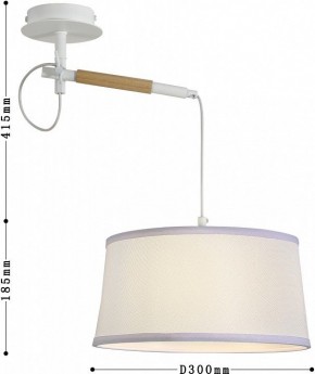 Светильник на штанге F-promo Eureka 3005-1P в Сургуте - surgut.mebel24.online | фото 5