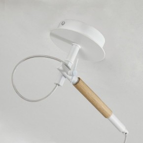 Светильник на штанге F-promo Eureka 3005-1P в Сургуте - surgut.mebel24.online | фото 8