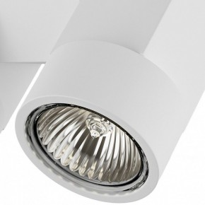 Светильник на штанге Lightstar Illumo X2 051036 в Сургуте - surgut.mebel24.online | фото 2
