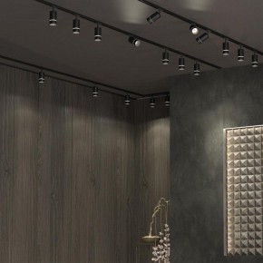 Светильник на штанге Novotech Elina 370777 в Сургуте - surgut.mebel24.online | фото 4