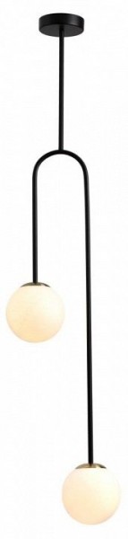Светильник на штанге Odeon Light Ambi 4340/2 в Сургуте - surgut.mebel24.online | фото 3