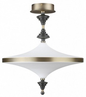 Светильник на штанге Odeon Light Ula 5404/43CL в Сургуте - surgut.mebel24.online | фото