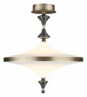 Светильник на штанге Odeon Light Ula 5404/43CL в Сургуте - surgut.mebel24.online | фото 2