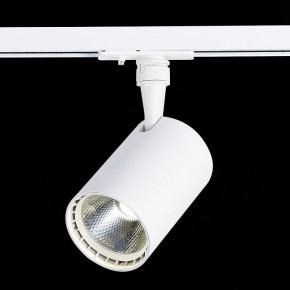 Светильник на штанге ST-Luce Cami ST351.536.20.36 в Сургуте - surgut.mebel24.online | фото 6