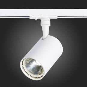 Светильник на штанге ST-Luce Cami ST351.546.15.36 в Сургуте - surgut.mebel24.online | фото 4