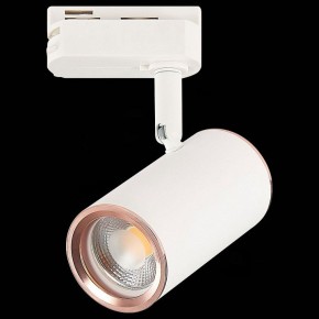 Светильник на штанге ST-Luce Cromi ST301.526.01 в Сургуте - surgut.mebel24.online | фото 4