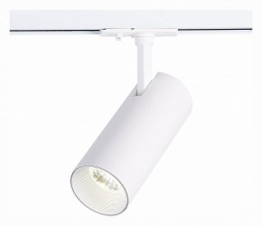 Светильник на штанге ST-Luce Mono ST350.536.20.36 в Сургуте - surgut.mebel24.online | фото 2