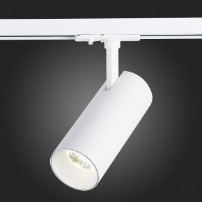 Светильник на штанге ST-Luce Mono ST350.536.20.36 в Сургуте - surgut.mebel24.online | фото 9