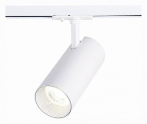 Светильник на штанге ST-Luce Mono ST350.546.30.36 в Сургуте - surgut.mebel24.online | фото 2