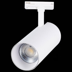 Светильник на штанге ST-Luce Mono ST350.546.30.36 в Сургуте - surgut.mebel24.online | фото 6