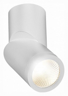 Светильник на штанге ST-Luce ST650 ST650.542.10 в Сургуте - surgut.mebel24.online | фото 3