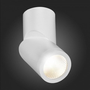 Светильник на штанге ST-Luce ST650 ST650.542.10 в Сургуте - surgut.mebel24.online | фото 6