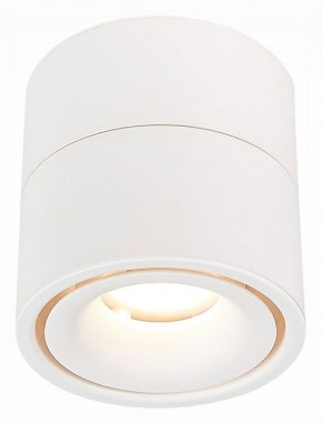 Светильник на штанге ST-Luce ST652 ST652.542.12 в Сургуте - surgut.mebel24.online | фото 2