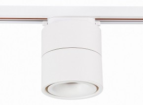 Светильник на штанге ST-Luce ST652 ST652.546.12 в Сургуте - surgut.mebel24.online | фото 2
