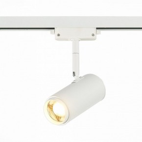 Светильник на штанге ST-Luce Zoom ST600.536.12 в Сургуте - surgut.mebel24.online | фото 2