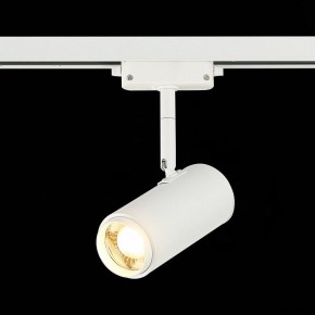 Светильник на штанге ST-Luce Zoom ST600.536.12 в Сургуте - surgut.mebel24.online | фото 4
