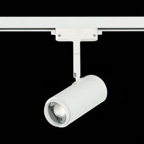 Светильник на штанге ST-Luce Zoom ST600.546.12 в Сургуте - surgut.mebel24.online | фото 5