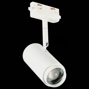 Светильник на штанге ST-Luce Zoom ST600.546.12 в Сургуте - surgut.mebel24.online | фото 6