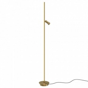Торшер Maytoni Thin MOD395FL-L28BS3K в Сургуте - surgut.mebel24.online | фото