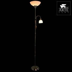 Торшер с подсветкой Arte Lamp Duetto A9569PN-2AB в Сургуте - surgut.mebel24.online | фото 3