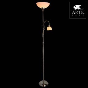 Торшер с подсветкой Arte Lamp Duetto A9569PN-2SS в Сургуте - surgut.mebel24.online | фото 3