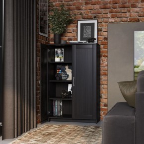 Тумба СИРИУС двухдверная высокая, цвет Дуб Венге в Сургуте - surgut.mebel24.online | фото 4